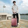 imageKROSER Hardside Expandable Carry On Luggage with Spinner Wheels ampamp Builtin TSA Lock Durable Suitcase Rolling Luggage with USB Port CarryOn 20Inch Matte PurplePinkBurgundy