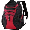 Black/Red-17.3